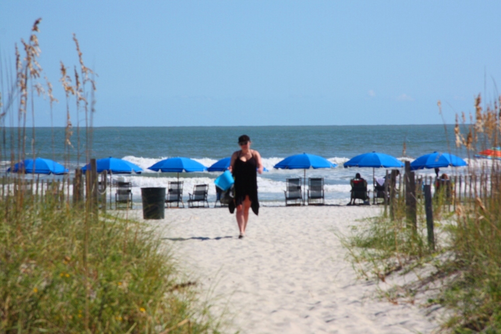 SHOREWOOD - HILTON HEAD